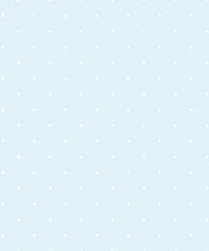 Jack ‘n Rose LL04048