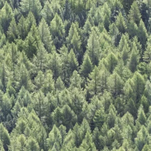 tapeet-marburg-45730_struktura-600x600-1.webp 45730 Marburg Struktura